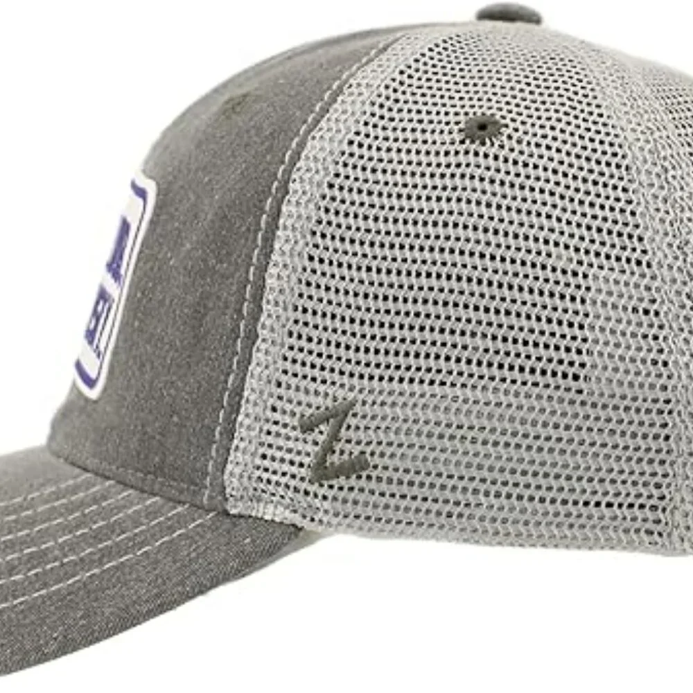 Zephyr NCAA Washington Huskies Dawgs Grey Snapback Cap Hat